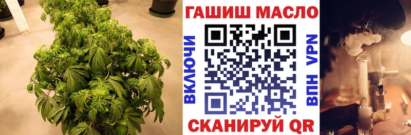 kraken ССЫЛКА  наркошоп  Отрадная  Дистиллят ТГК жижа 