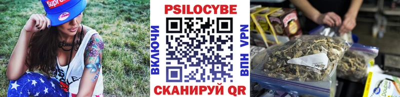 hydra онион  Отрадная  Псилоцибиновые грибы GOLDEN TEACHER 
